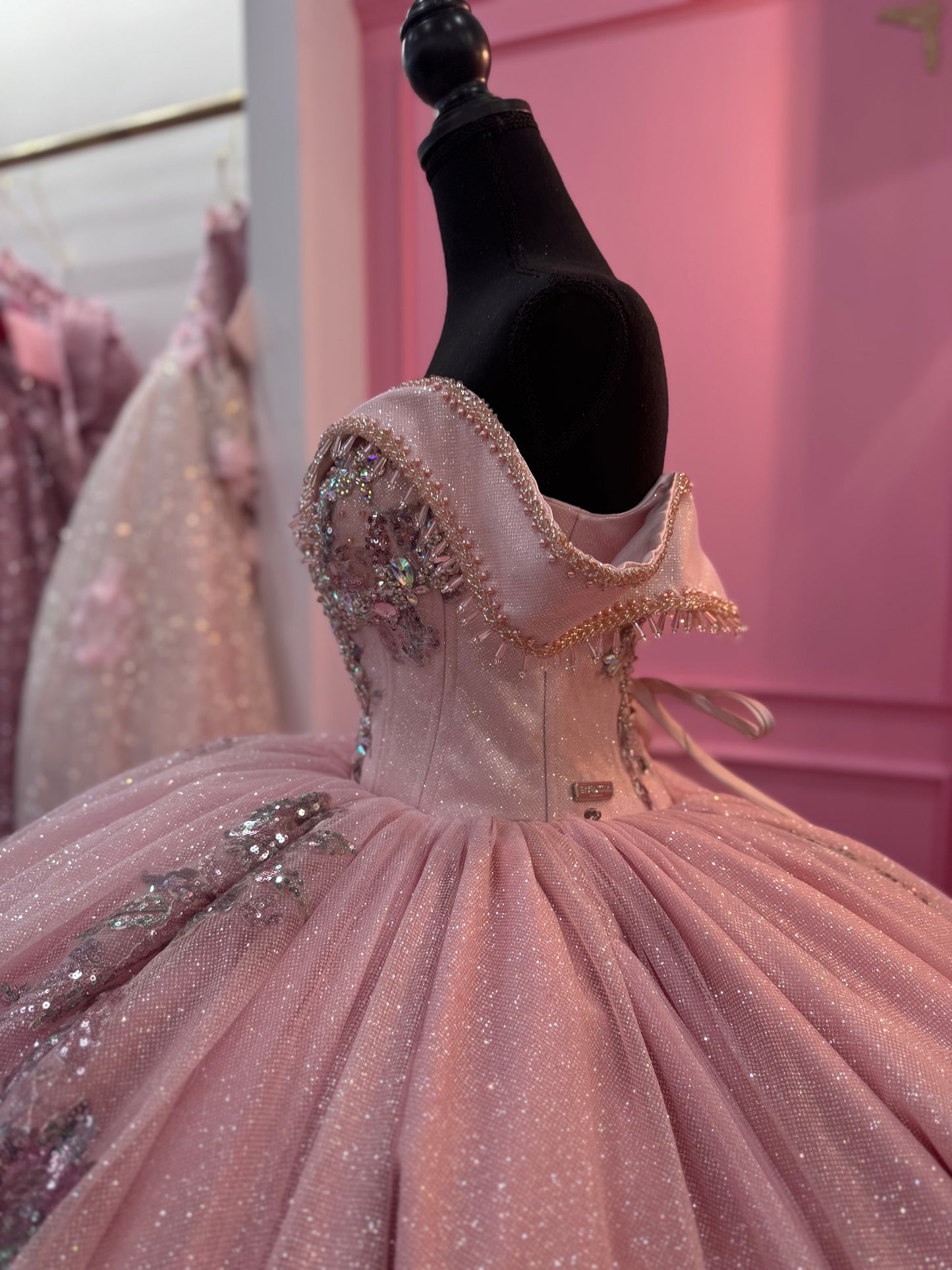 Blush with silver touches dress👗